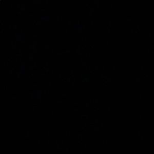 Meet your Posher, Anita